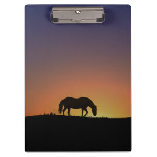 Magnífico Portapapeles de Caballo