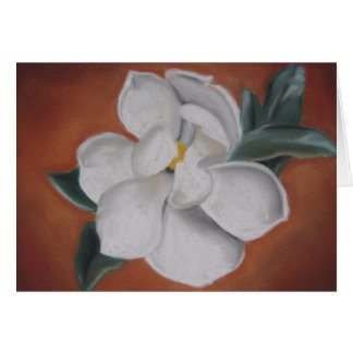 Magnolia