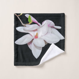 Magnolia blanca