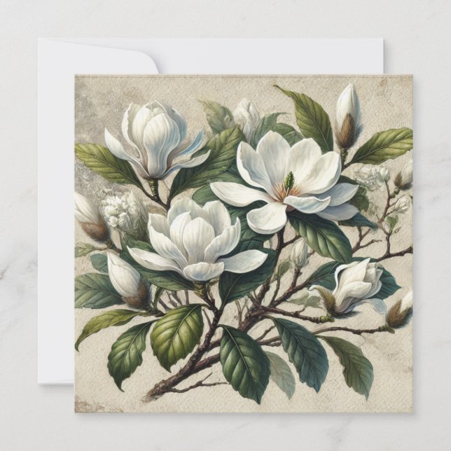 Magnolia blanca Vintage (Anverso)