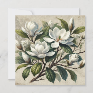 Magnolia blanca Vintage