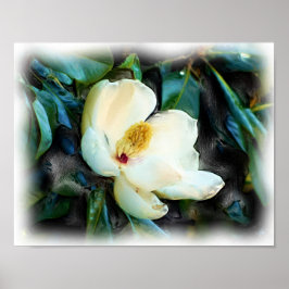 Magnolia Blossom Aceite Pintura Arte Digital