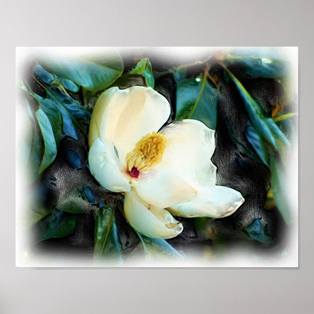 Magnolia Blossom Aceite Pintura Arte Digital (Frente)