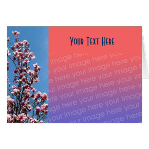 Magnolia Blossoms Floral Photo Card