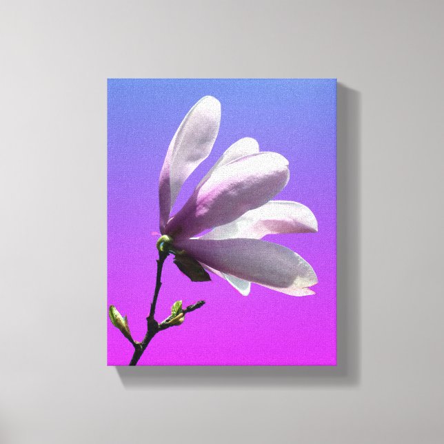 Magnolia colorida Lienzo envuelto (Anverso)