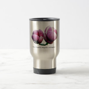 Magnolia de platillo - tazas