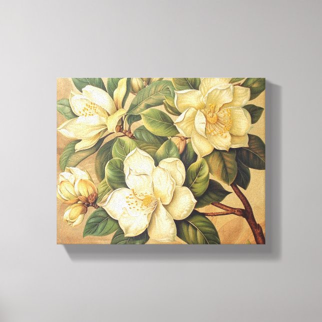 Magnolia elegante florece arte en el muro (Anverso)