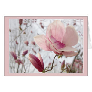Magnolia En Rosa