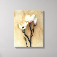 Magnolia estampado de arte floral