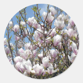 Magnolia florece en los Pegatinas de primavera