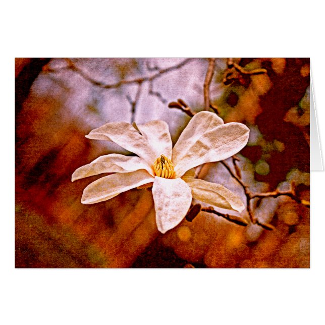 Magnolia Mood (Anverso (Horizontal))