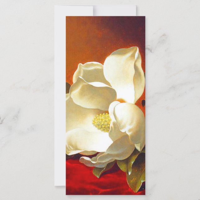 Magnolia sobre tarjeta de terciopelo rojo Martin J (Anverso)