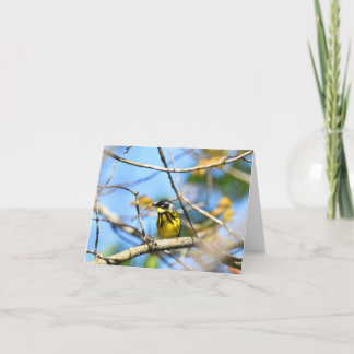 Magnolia Warbler - Tarjeta de nota en blanco