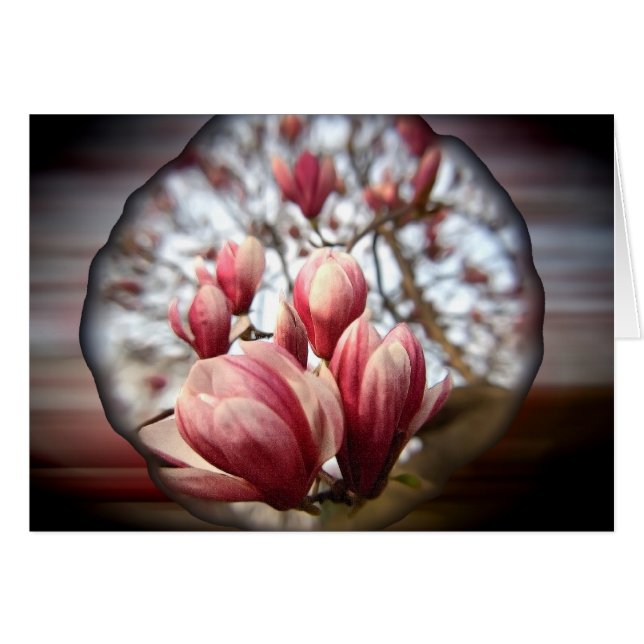 Magnolia Wood (Anverso (Horizontal))