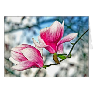 Magnolia Y Cielo Azul