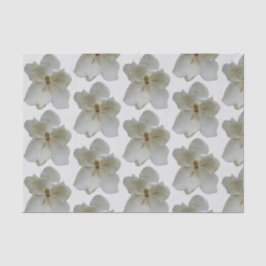 Magnolias blancas sobre papel tisular