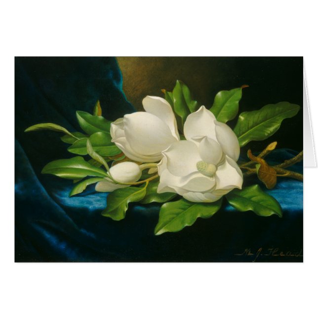 Magnolias gigantes en tela de terciopelo azul, c.1 (Anverso (Horizontal))