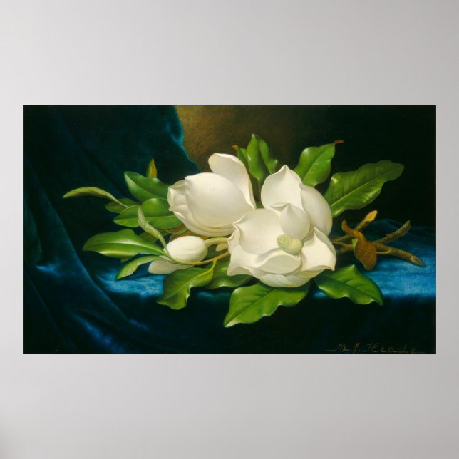 Magnolias - Martin Johnson Heade Poster Bella Arte (Frente)