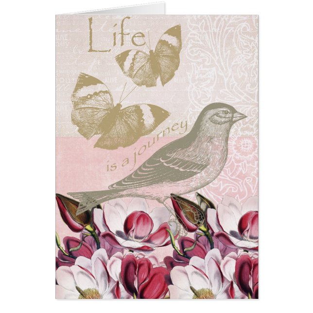 Magnolias románticas (Frente)