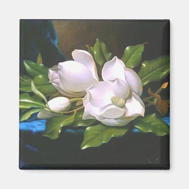 Magnolias sobre terciopelo azul - imán (Frente)