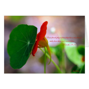 Magro de la flor y de la planta en uno a.