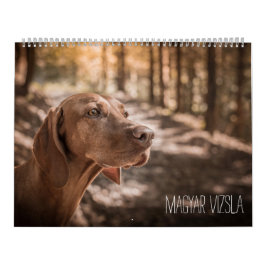 Magyar Vizsla perros calendarios