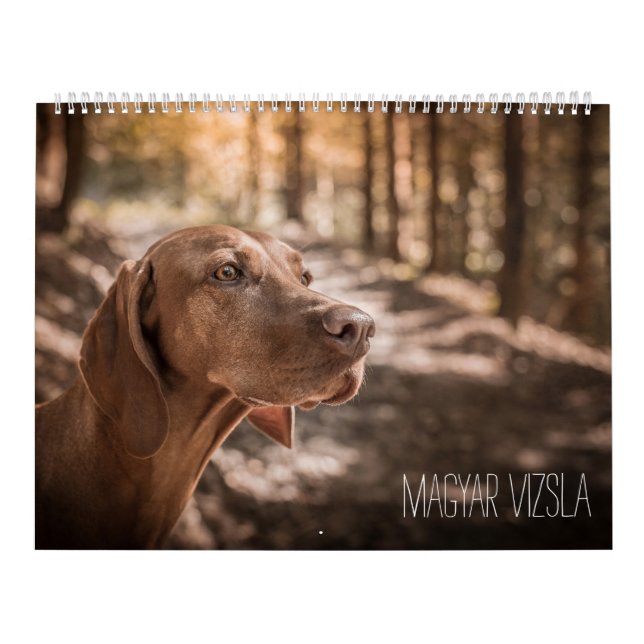 Magyar Vizsla perros calendarios (Tapa)