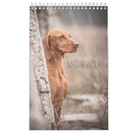 Magyar Vizsla perros calendarios
