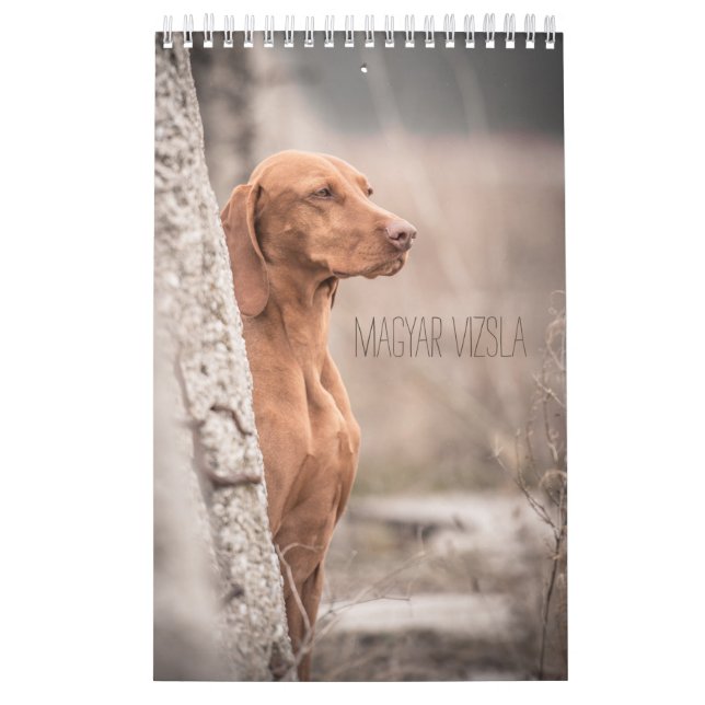 Magyar Vizsla perros calendarios (Tapa)