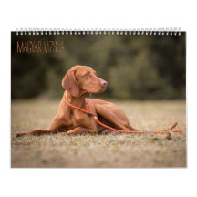 Magyar Vizsla perros calendarios