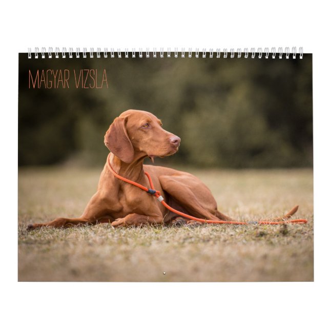 Magyar Vizsla perros calendarios (Tapa)