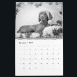 Magyar Vizsla perros calendarios black & white<br><div class="desc">Magyar Vizsla perros calendarios</div>