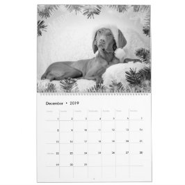 Magyar Vizsla perros calendarios black & white
