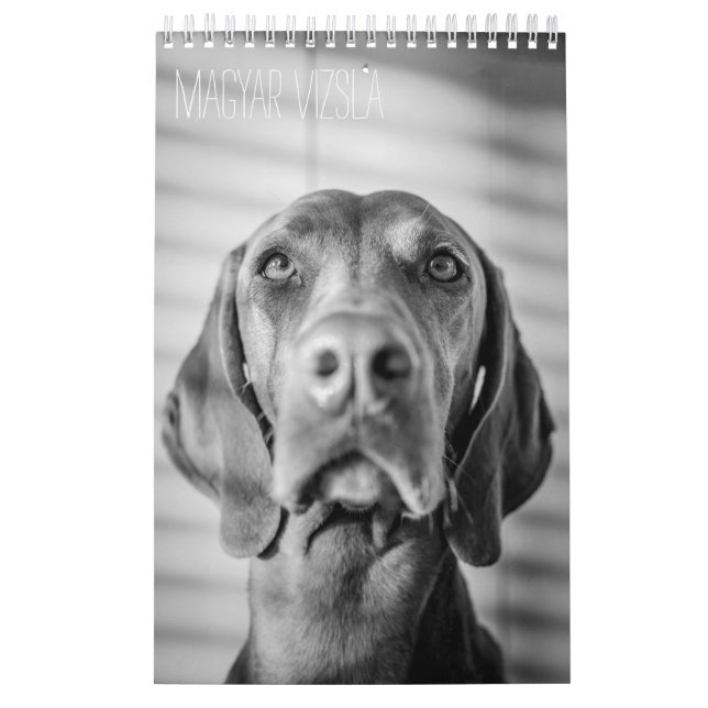 Magyar Vizsla perros calendarios black & white (Tapa)