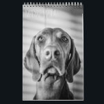 Magyar Vizsla perros calendarios black & white<br><div class="desc">Magyar Vizsla perros calendarios</div>