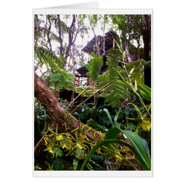 Mahinui Na Lani Treehouse (Frente)