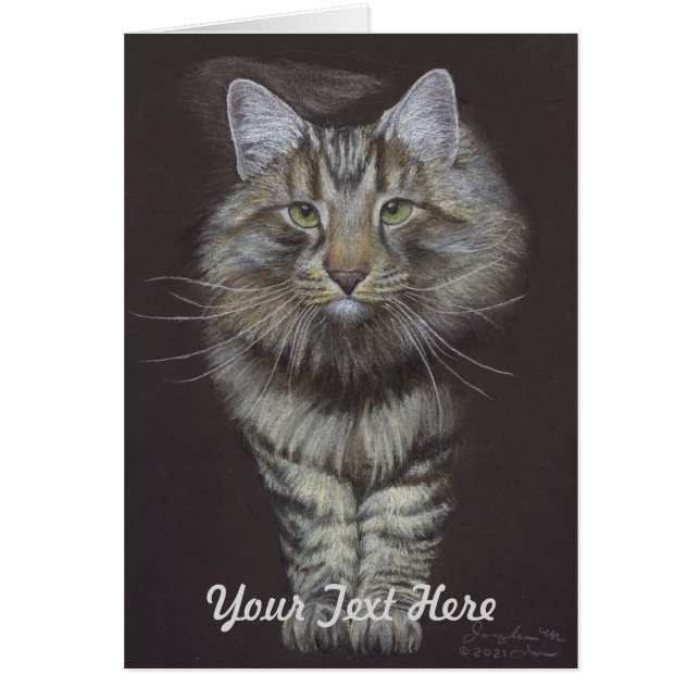 Maine Coon Cat (Frente)