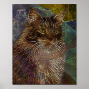 Maine Coon Cat - Arte rectangular