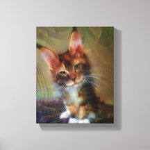 Maine Coon Kitten Art - Escríbeme - Arte Rectangul