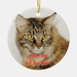 Maine Coon ornamento