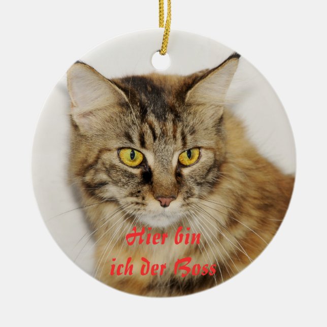 Maine Coon ornamento (Frente)