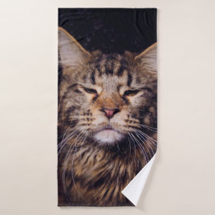 maine coon sobre un fondo negro joven, gato, c