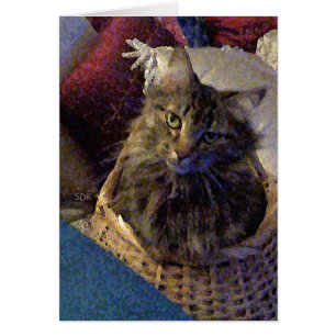 Maine Coon Tabby Cat