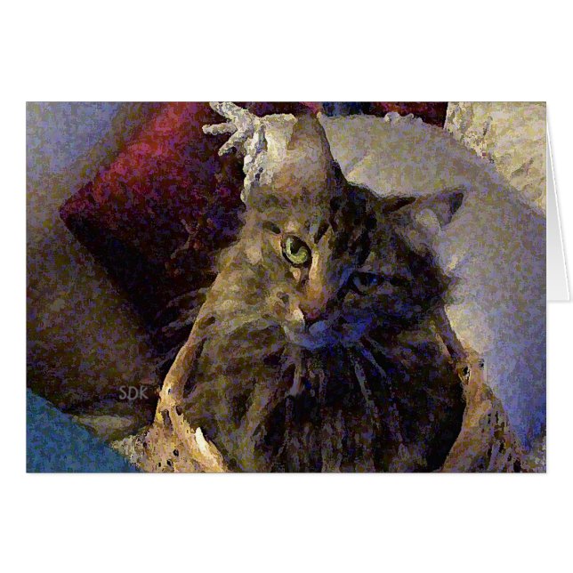 Maine Coon Tabby Cat (Anverso (Horizontal))