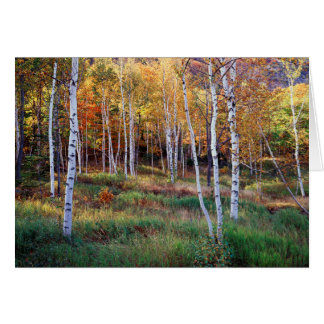 Maine, Parque Nacional Acadia, Otoño