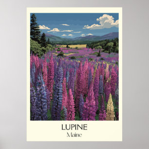 Maine Wild Lupine Flores Paisajes Arte de Viajes