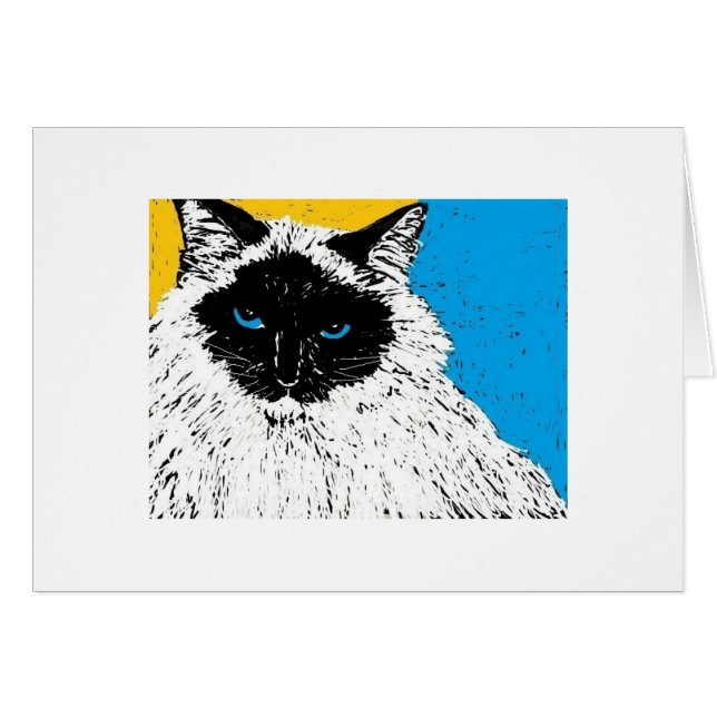 maisie el gato del ragdoll (Anverso (Horizontal))