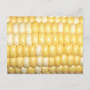 Maíz dulce en la tarjeta postal del Cob