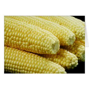 Maíz en la mazorca