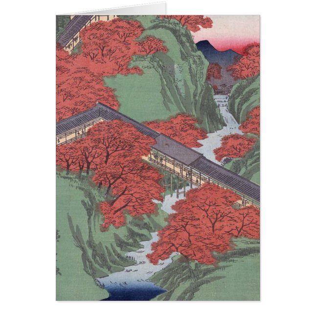 Maíz roja japonesa (Frente)